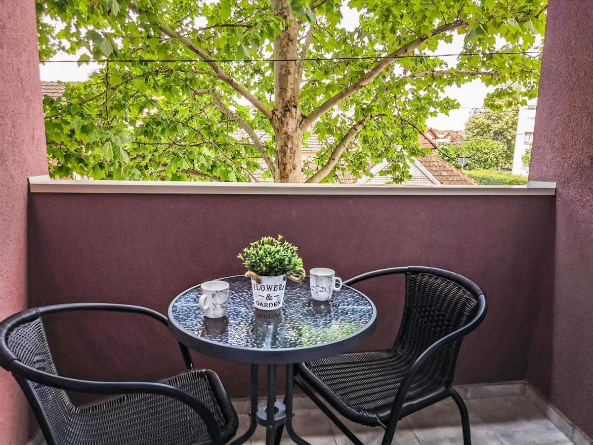 Cozy Corner Apartments - Free parking&Wi-fi Ćuprija Zewnętrze zdjęcie